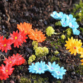 Lovely Summer Flowers