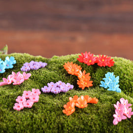 Lovely Summer Flowers