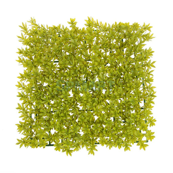 Lawn Leaf Scenery