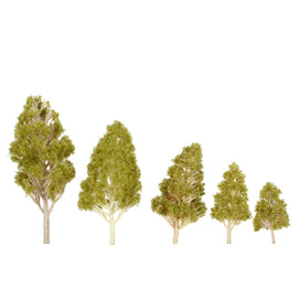 Scenery Tree
