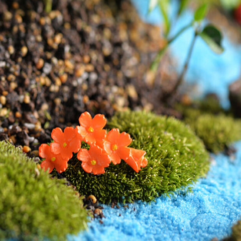 Lovely Summer Flowers