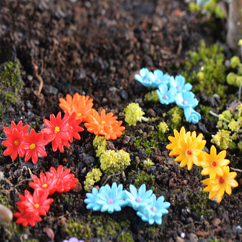 Lovely Summer Flowers