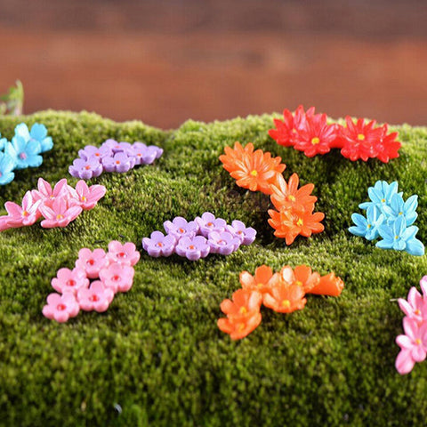 Lovely Summer Flowers