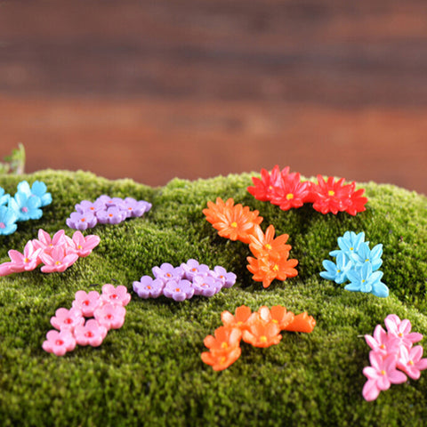 Lovely Summer Flowers