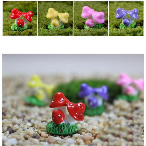 Mushroom Clump