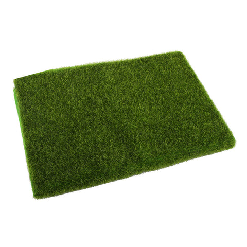 Lawn Grass