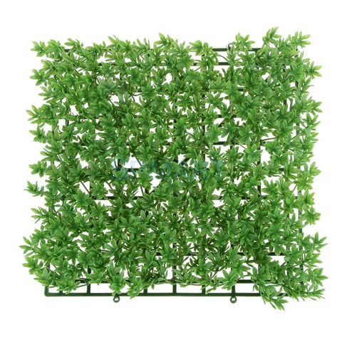 Lawn Leaf Scenery