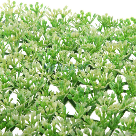Greenery Scenery Grass