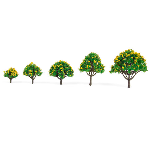 Cedar Tree