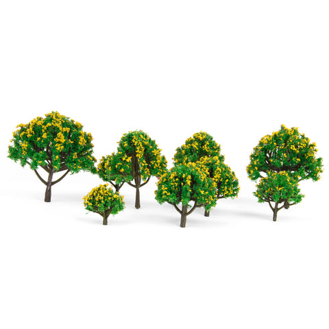 Cedar Tree