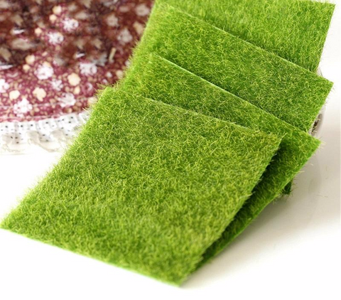 Lawn Grass
