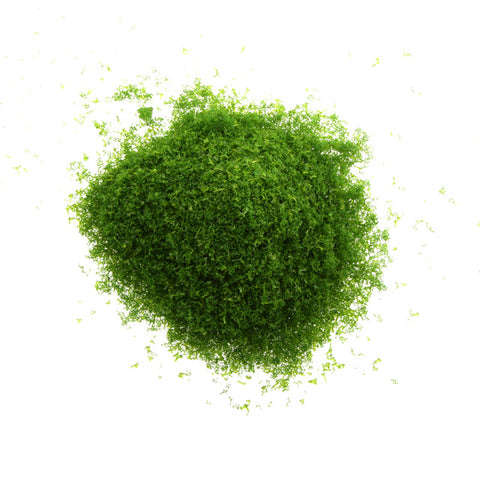 Moss Grass