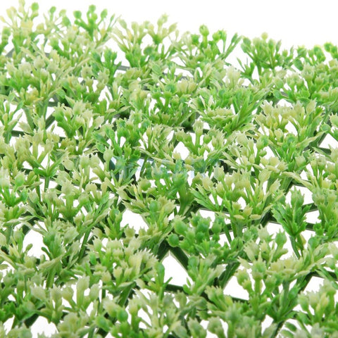 Greenery Scenery Grass