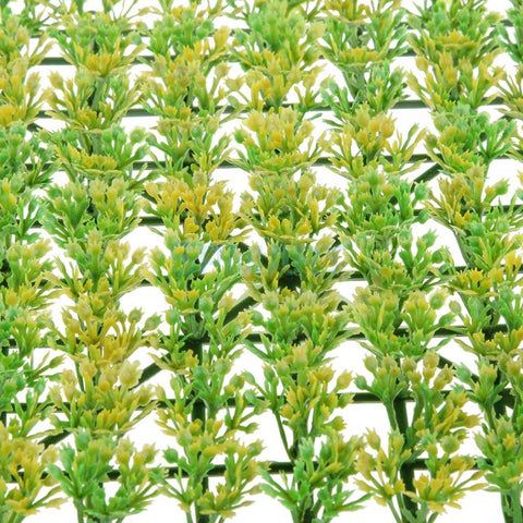 Greenery Scenery Grass